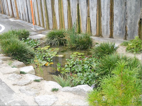 ビオトープ(※普段は池の水として、災害時は飲料水として利用できる)